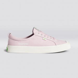 OCA LOW γυναικεια Cariuma Low Top Canvas Pale Lilac | 5203DFNWK