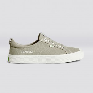 OCA LOW ανδρικα Cariuma Low Top Canvas Plaza Taupe | 7590OSMQA