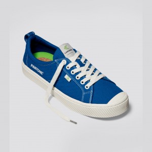 OCA LOW γυναικεια Cariuma Low Top Canvas μπλε | 4826IEWPD