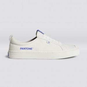 OCA LOW ανδρικα Cariuma Low Top καμβα Vegan Off-White / Very Peri Canvas | 5629TWCSZ